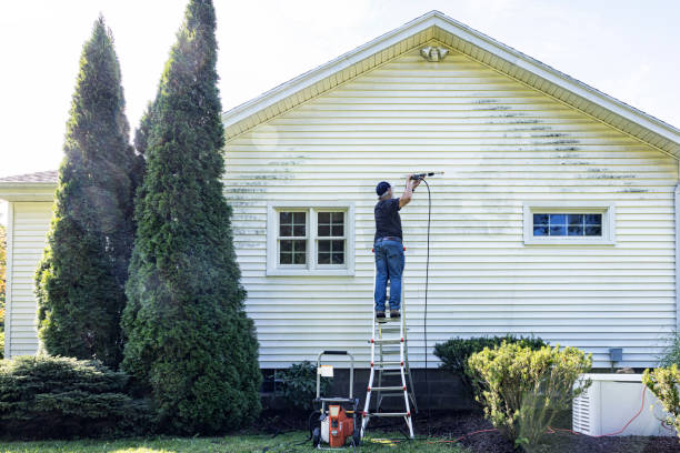 Animal Enclosure Cleaning in Forestdale, MA